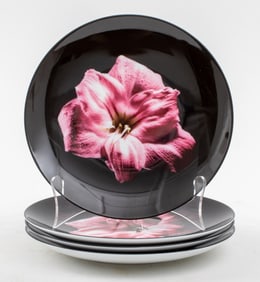 Robert Mapplethorpe Limoges "Amaryllis" Plates, 4