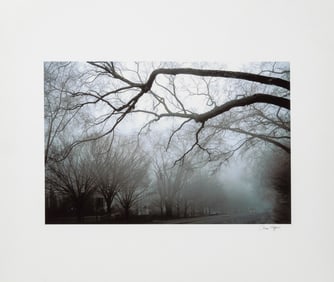 Anne Sager Forest in Fog Color Digitized Print
