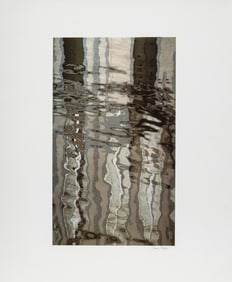 Anne Sager Forest Reflections Digitized Print
