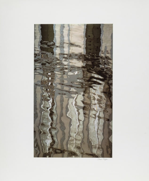 Anne Sager Forest Reflections Digitized Print: Anne Sager (American, 1930-2024), Forest Reflections, Digitized Iris Print on Paper, signed in pencil lower right, artist's estate stamp verso, unframed. Image: 16.75" H x 10" W; sheet: 23.25" H x 19.