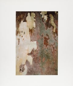Anne Sager Tree Bark Composition Digitized Print