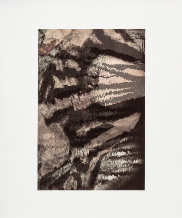 Anne Sager Abstracted Forest Reflections Print (1 of 5)