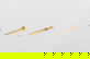 item-209031478=3