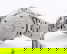 item-209031526=4