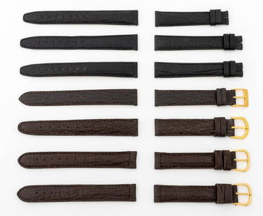 Tiffany & Co. Etc. Sharkskin Loose Watch Straps, 7: Collection of Seven Sharkskin Loose Watch Straps, comprising: (3) three black Tiffany and Company, marked to the strap, (2) two brown deBeer with gold-tone buckles, marked to the strap, (1) one brown