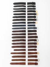 Alligator and Crocodile Loose Straps, 21