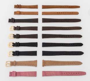 Lady's Lizard Watch Straps, 9