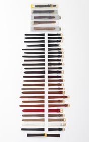 Lady's Lizard Loose Watch Straps, 30