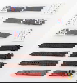 Manos Alligator and Lizard Loose Watch Straps, 7