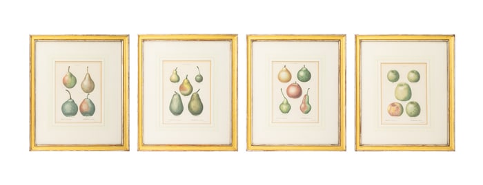 Pancrace Bessa After Redoute Engravings, 4