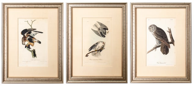 John T. Bowen After Audubon "Birds of America", 3