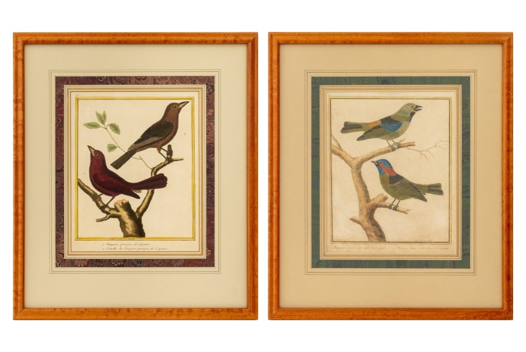 Francois Martinet Bird Hand-Colored Engravings, 2 (1 of 14)
