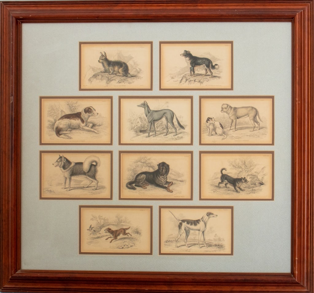 William Home Lizars Dog Color Engravings, 10 (1 of 12)