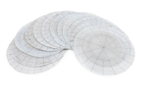 Contemporary Dove Gray Beaded Placemats, 12
