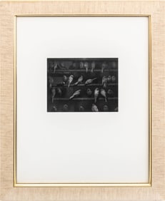 George Krause "Birds, Mexico" Silver Print, 1965