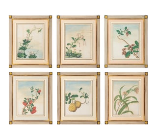 Chinese School Botanical Watercolors, 19th C., 6