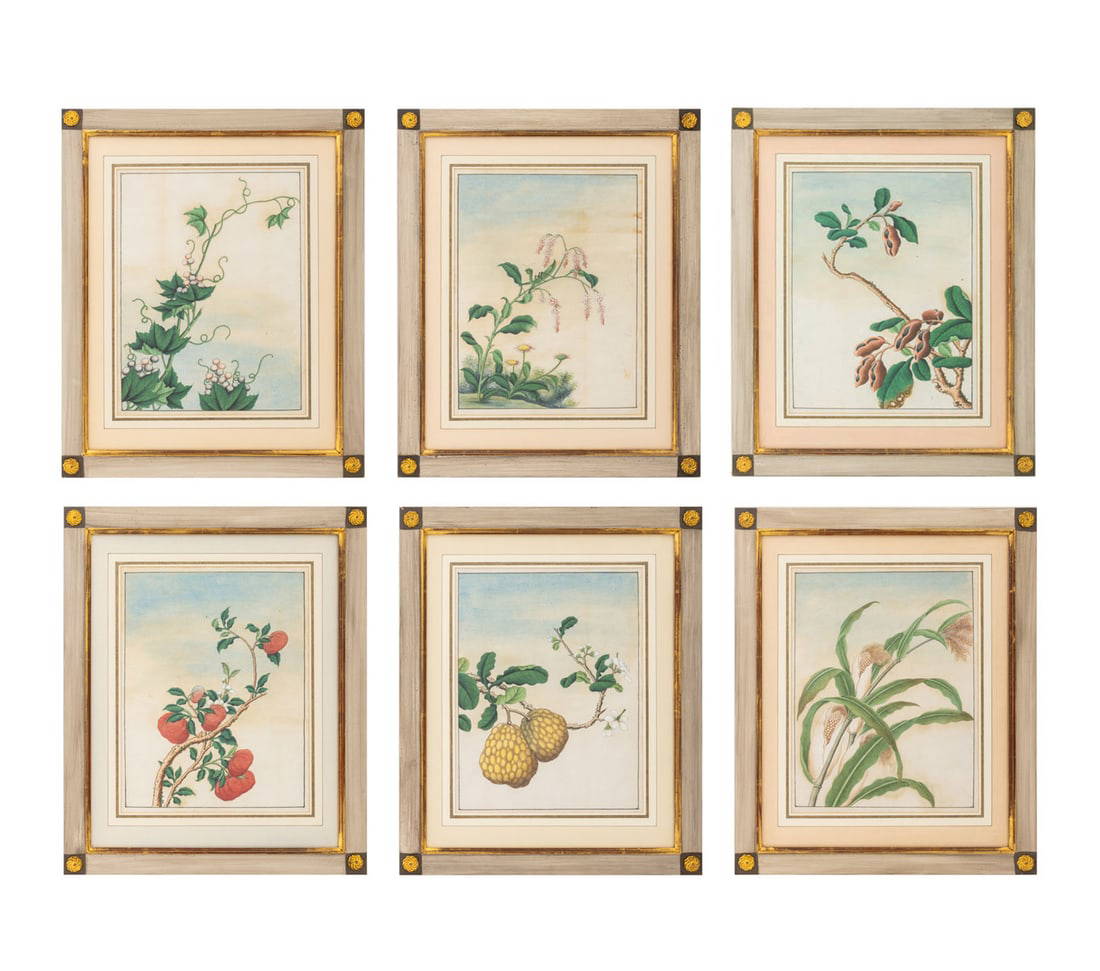 Chinese School Botanical Watercolors, 19th C., 6