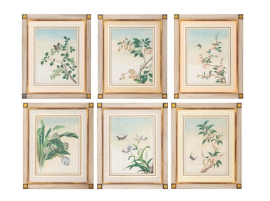 Chinese School Botanical Watercolors, 19th C., 6