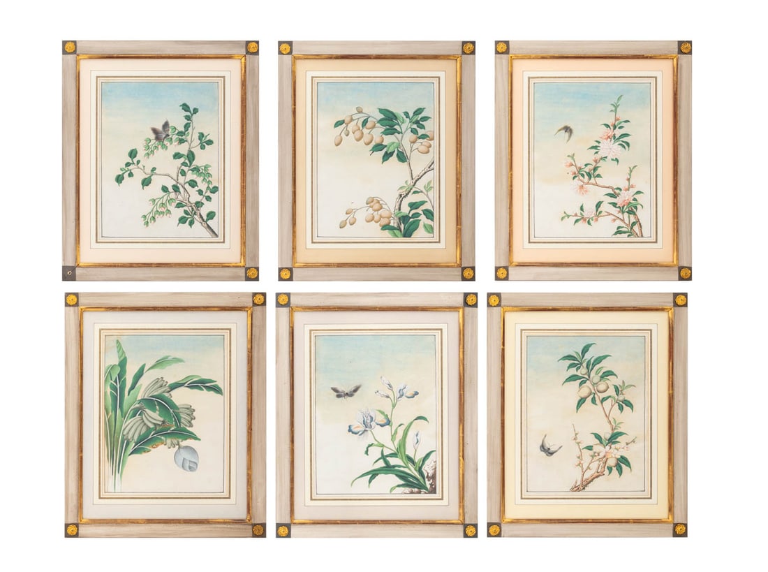 Chinese School Botanical Watercolors, 19th C., 6 (1 of 20)
