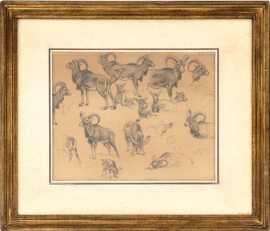 Georges Frederic Rotig Studies of Chamois Pencil: Georges Frederic Rotig (French, 1873-1961), Studies of Chamois, Pencil on Paper, 1903, signed in pencil and dated lower right, Christian de Quay label to reverse, gilt frame. Image: 9.25" H x 11.75" W