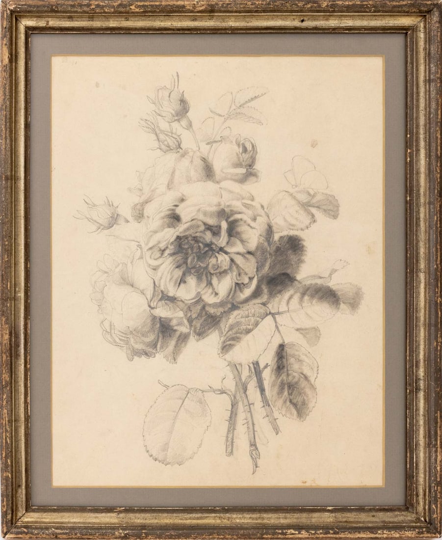 European Botanical Composition Graphite, 19th C. (1 of 5)