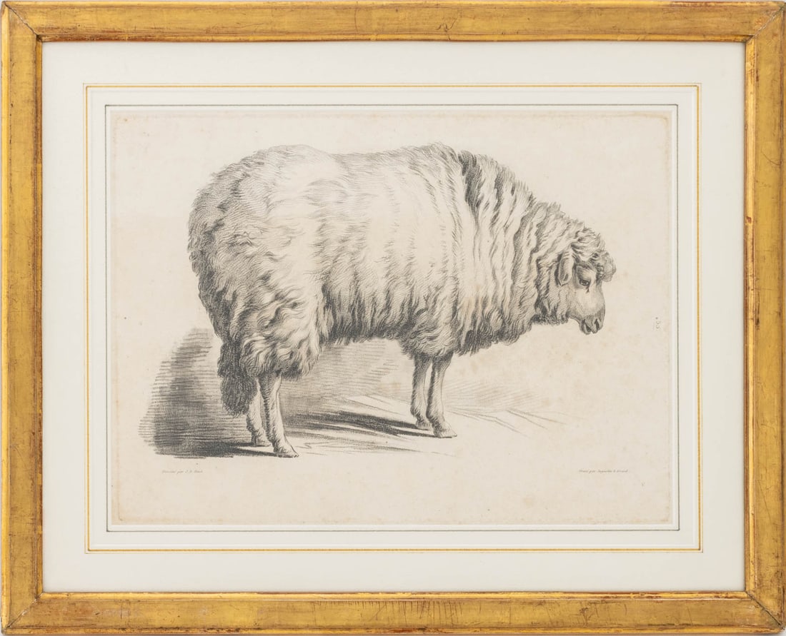 After Jean-Baptiste Huet Sheep Etching, 19th C. (1 of 10)