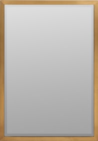 Brushed Brass Framed Beveled Glass Mirror