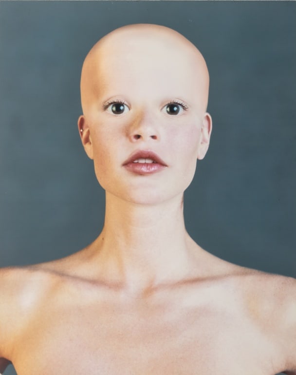 Corinna Holthusen "Untitled" C-Print on Aluminum: Corinna Holthusen (German, b. 1967), "Untitled", C-Print in Colors on Aluminum, 2001, signed, dated, numbered edition "1/5", and American European Fine Art label verso, unframed. 15.75" H x 19.75" W.