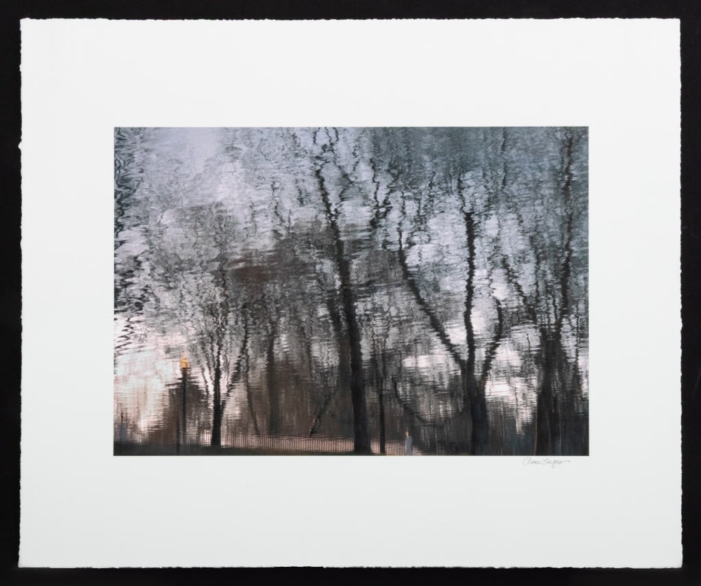 Anne Sager City Park Reflections Digitized Print (1 of 6)