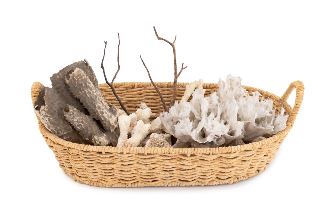 Collection of Marine Specimen Coral Specimens, 29: Collection of Marine Specimen Coral Specimens, in basket, including: lettuce leaf coral, grooved brain coral, black coral, tube sponge, and cauliflower coral. 29 pieces total. Largest: 8" H x 6.5" W x