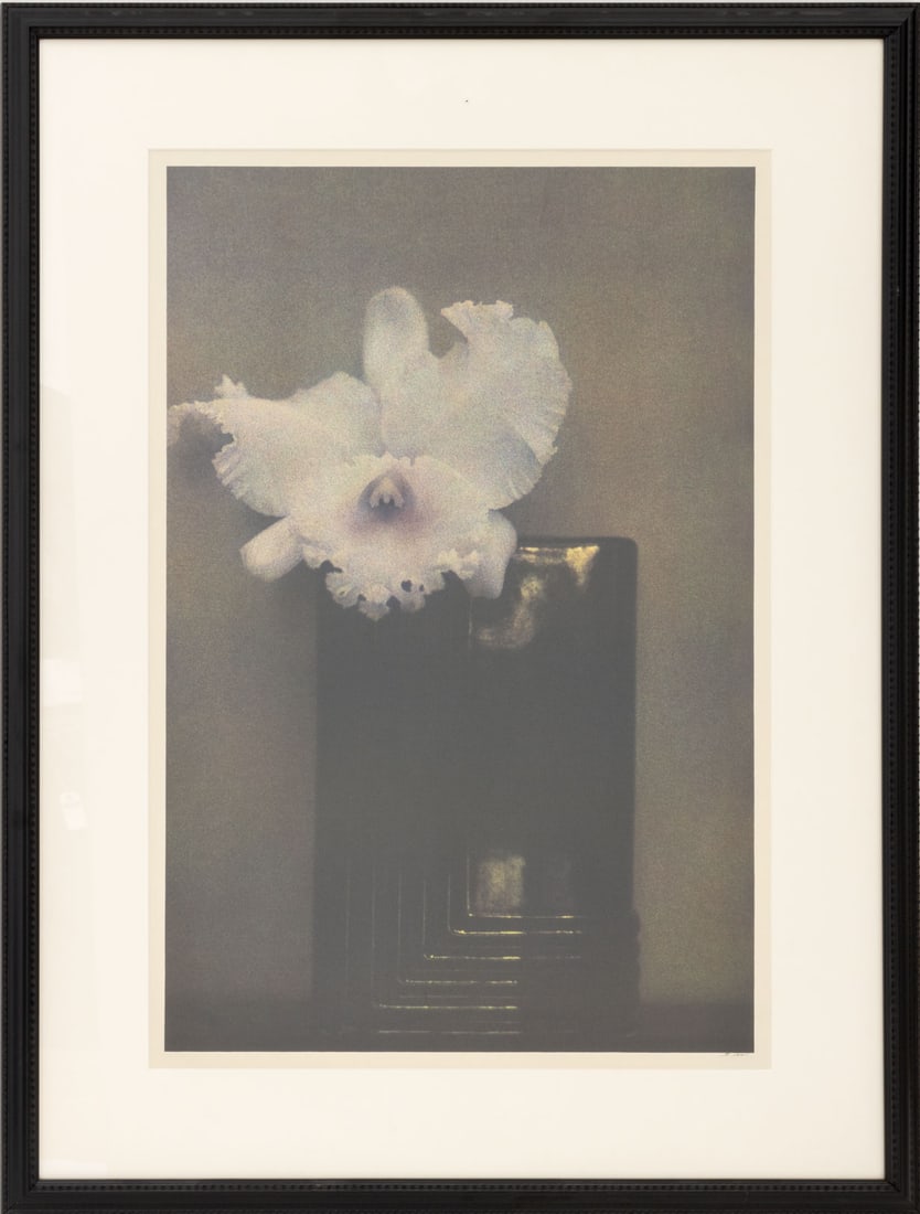 Sheila Metzner "Mondrian Orchid" Fresson Print: Sheila Metzner (American, b. 1939), "Mondrian Orchid", Fresson Print, signed in pencil lower right, ebonized wood frame. Image: 24.75" H x 16.25" W; frame: 33.75" H x 25.75" W x 0.75" D. Provenance: F
