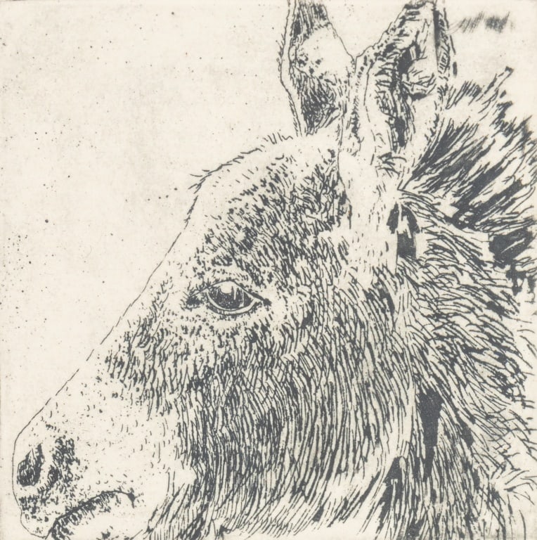 Karla M. Parker Animal Etchings, 2 - 3