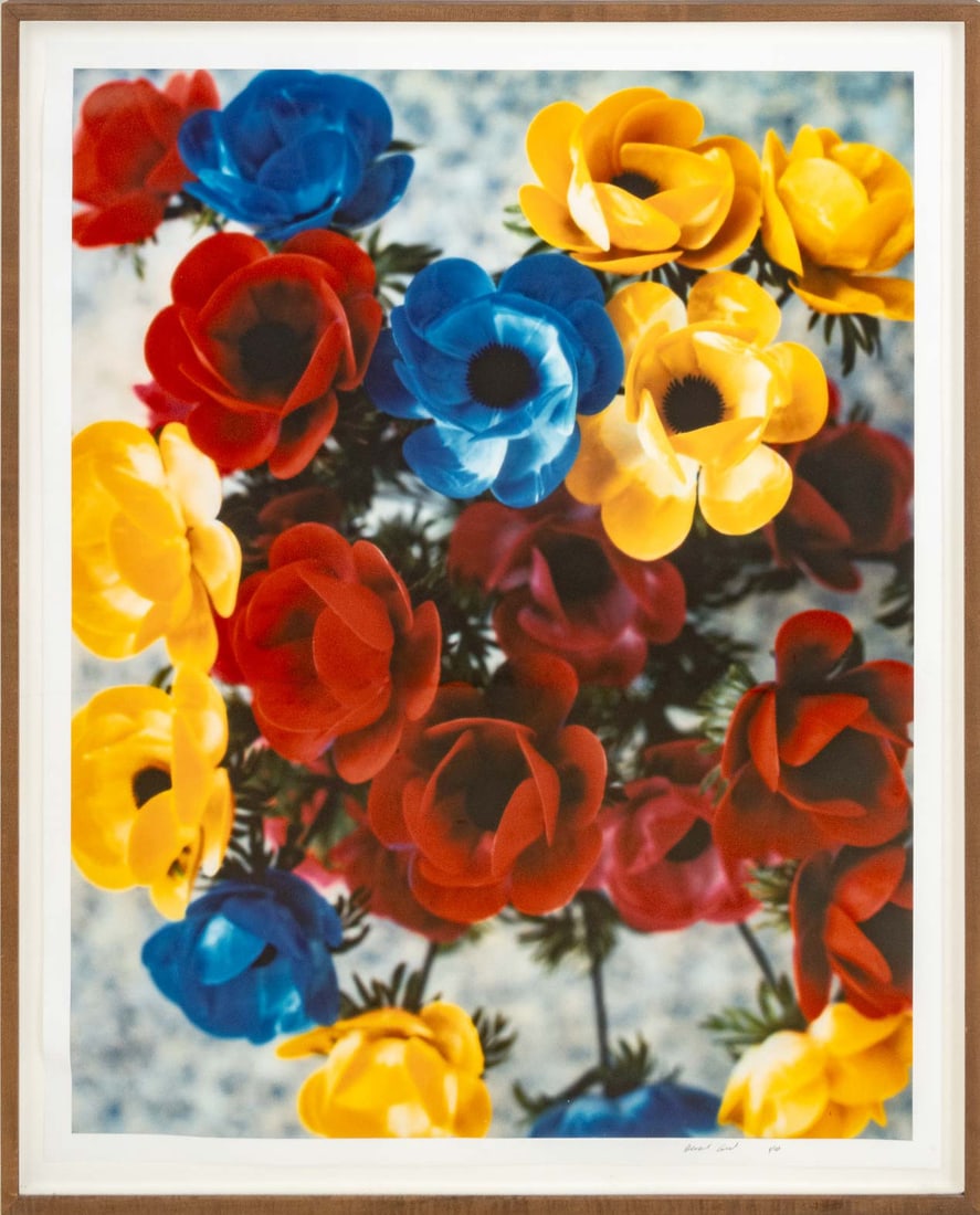Oberto Gilli Poppies Chromogenic Print (1 of 7)