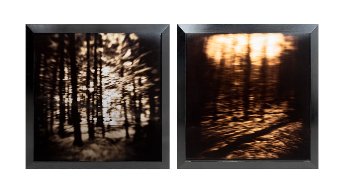 Gwen Akin & Allan Ludwig Landscape Cibachromes, 2 (1 of 15)