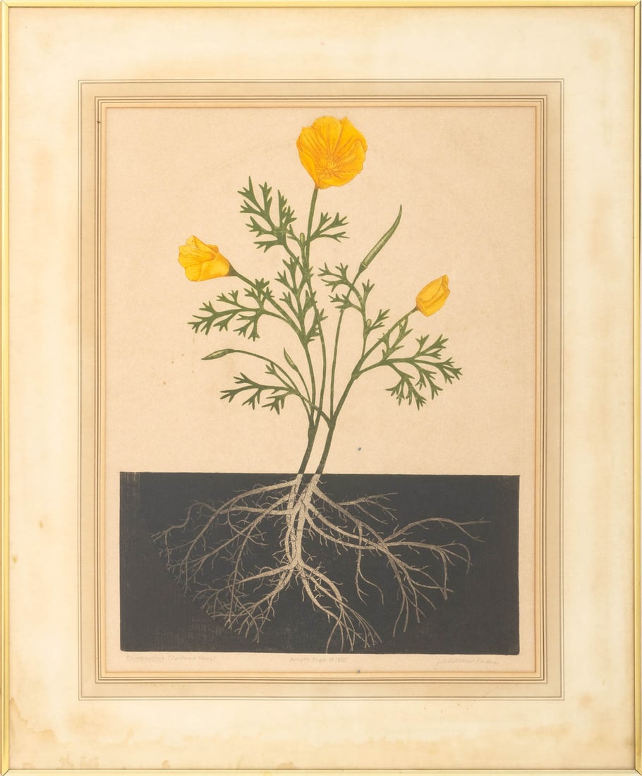 J. Whiteman Parker "Eschschottzia" Engraving (1 of 6)