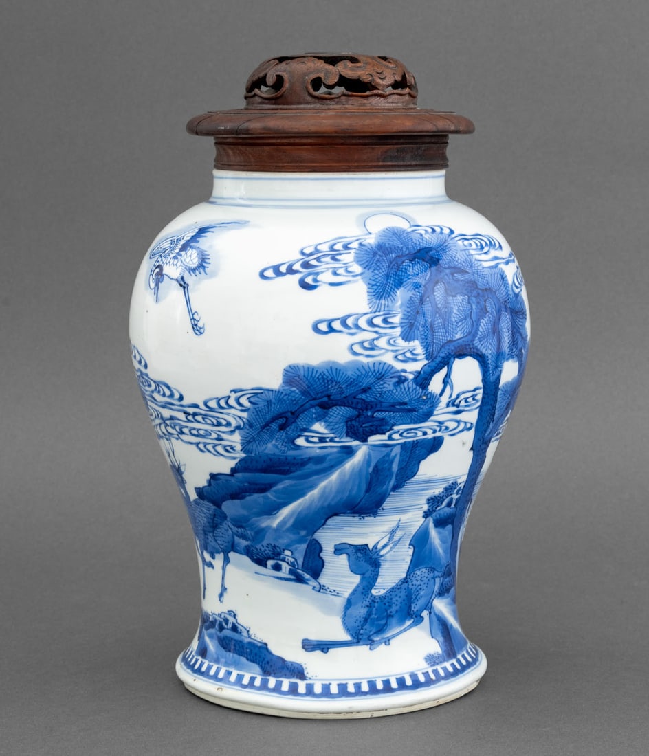 Chinese Blue & White Porcelain Ginger Jar (1 of 11)