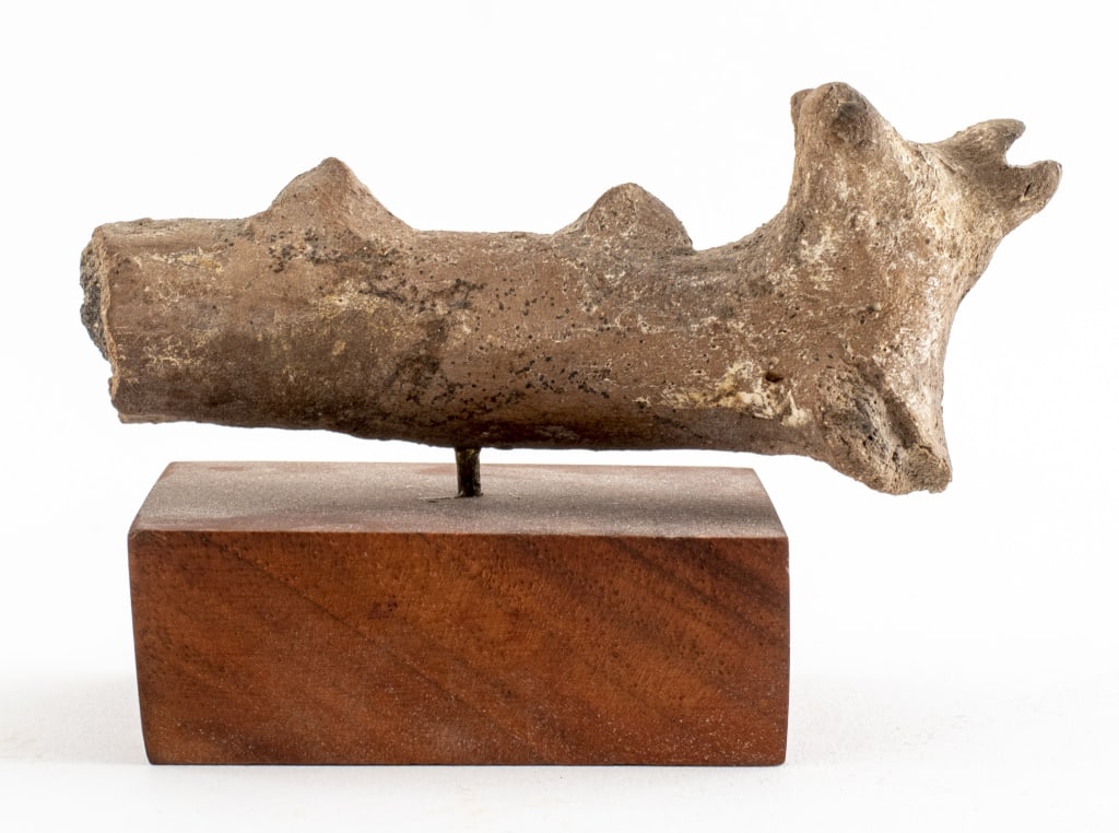 Western Asiatic Red Clay Camel Figurine (1 of 5)