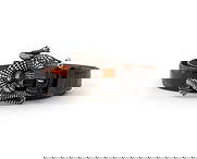 Barry Kieselstein-Cord Sterling Alligator Buckle: Barry Kieselstein-Cord Sterling Silver Alligator Belt Buckle, 1985, with Ralph Lauren black alligator leather belt, the buckle marked "B. Kieselstein-Cord / Sterling / 1985" and the belt marked