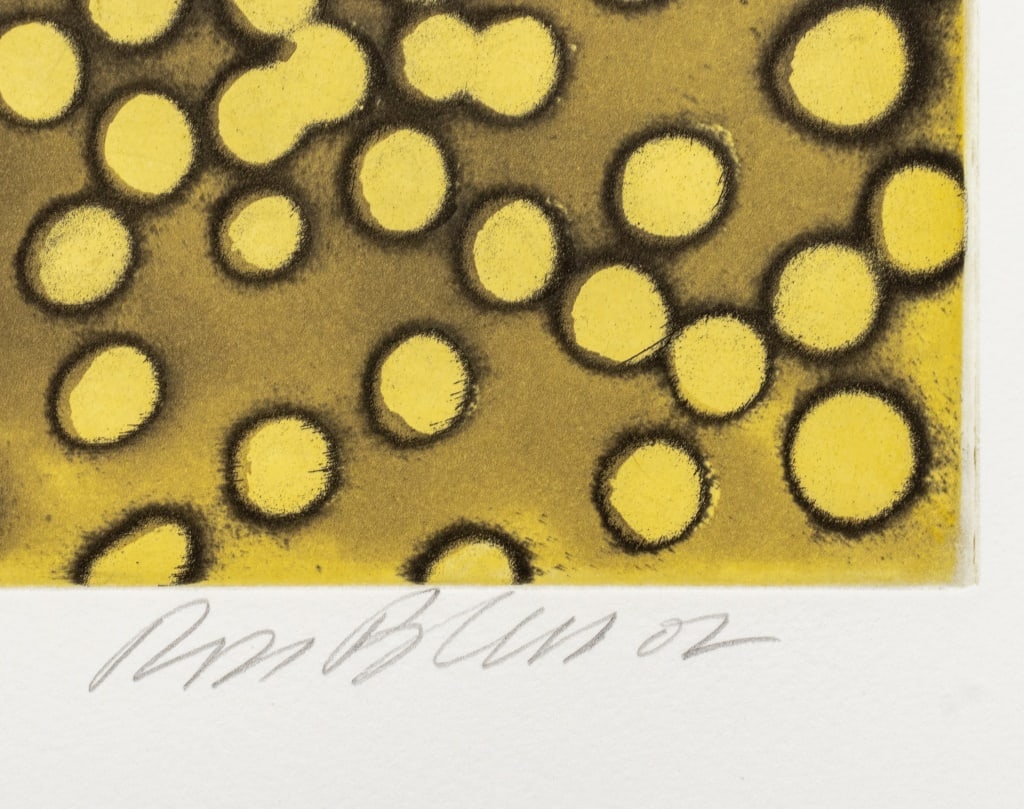 Ross Bleckner "Selection Sequence" Etching, 2002 - 2