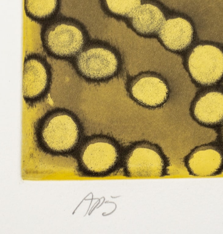 Ross Bleckner "Selection Sequence" Etching, 2002 - 3