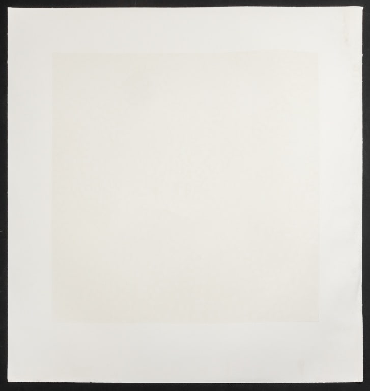 Ross Bleckner "Selection Sequence" Etching, 2002 - 7