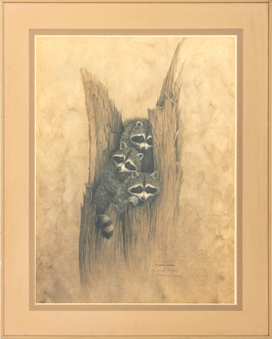 F. Dawn Snell Raccoon Family Offset Lithograph (1 of 5)