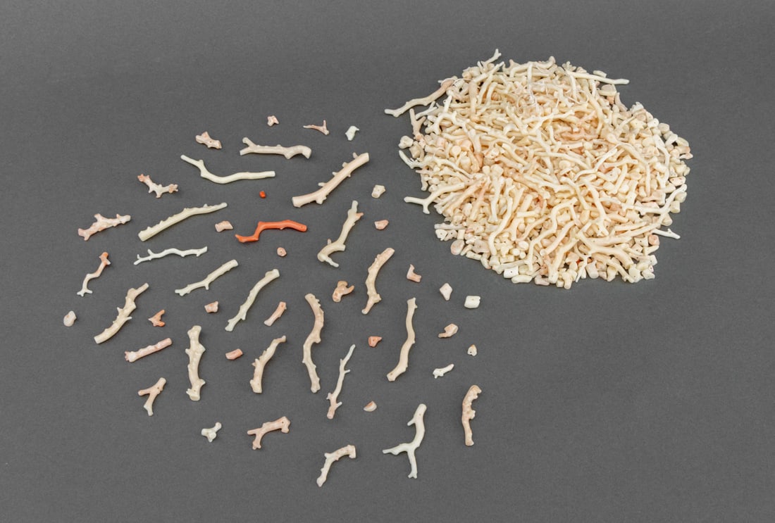 Collection of Angelskin Coral Beads: Collection of Angel Skin Coral Beads, some chip nuggets and some natural. Longest: 2" L. Provenance: From the Estate of Jewelry Designer Irena Corwin. Keywords: Beadwork, Jewelry, Necklaces, Bracelets