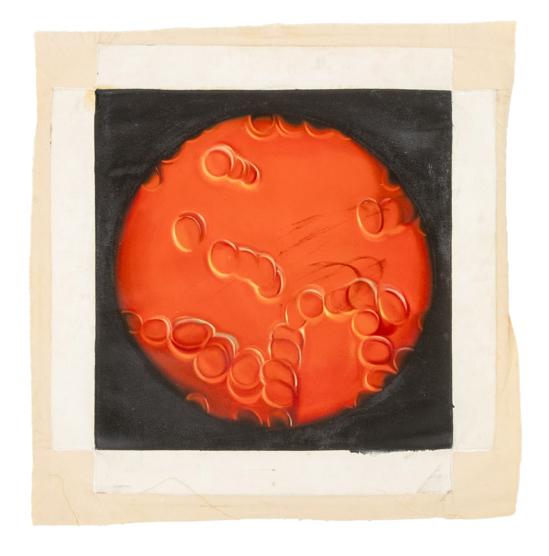 Jason Bryant Blood Cells Under Microscope Oil (1 of 7)