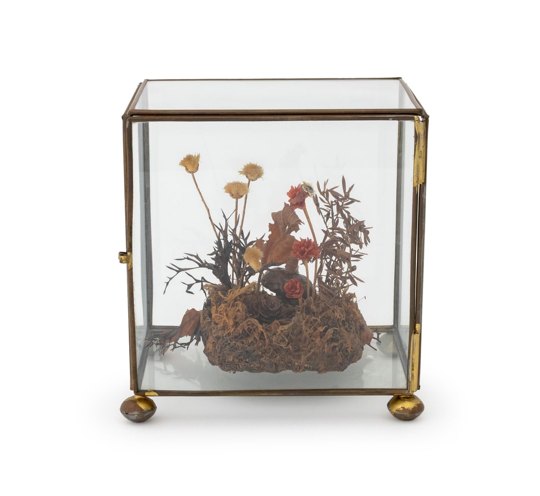 Dried Flower Terrarium: Dried Flower Terrarium, in brass and glass display box on four bun feet. Overall: 7.25" H x 7" W x 5" D. Provenance: From an East 74th Street Estate. Keywords: Glass garden, Plant terrarium,
