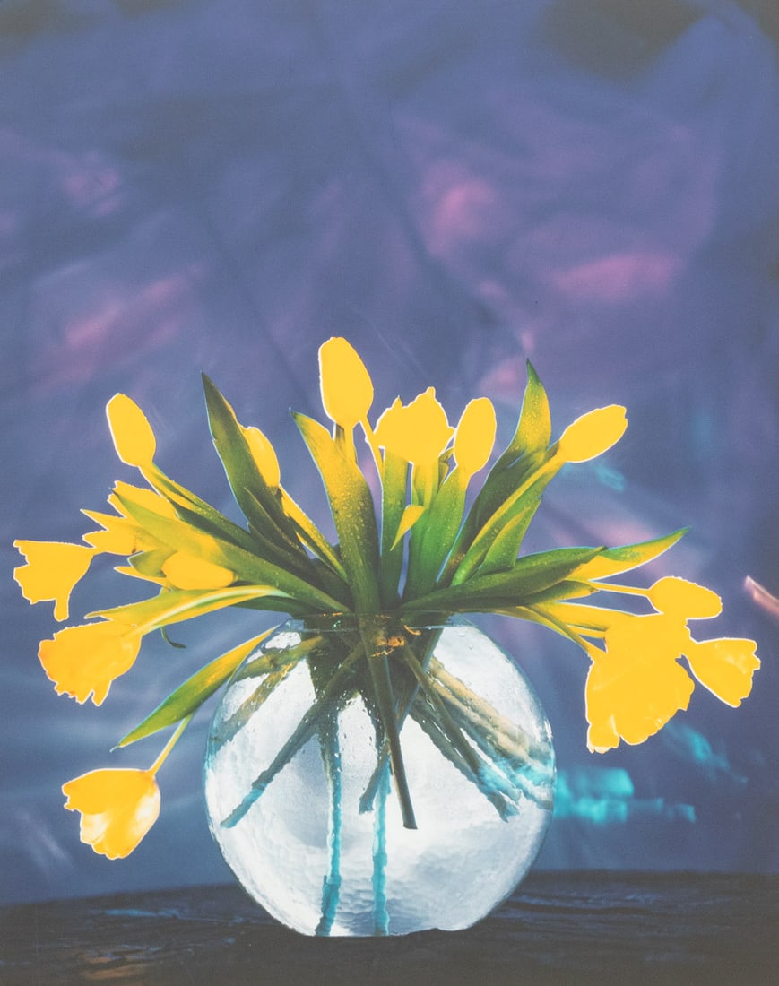 Dean Chamberlain Cibachrome Prints, 2 - 3