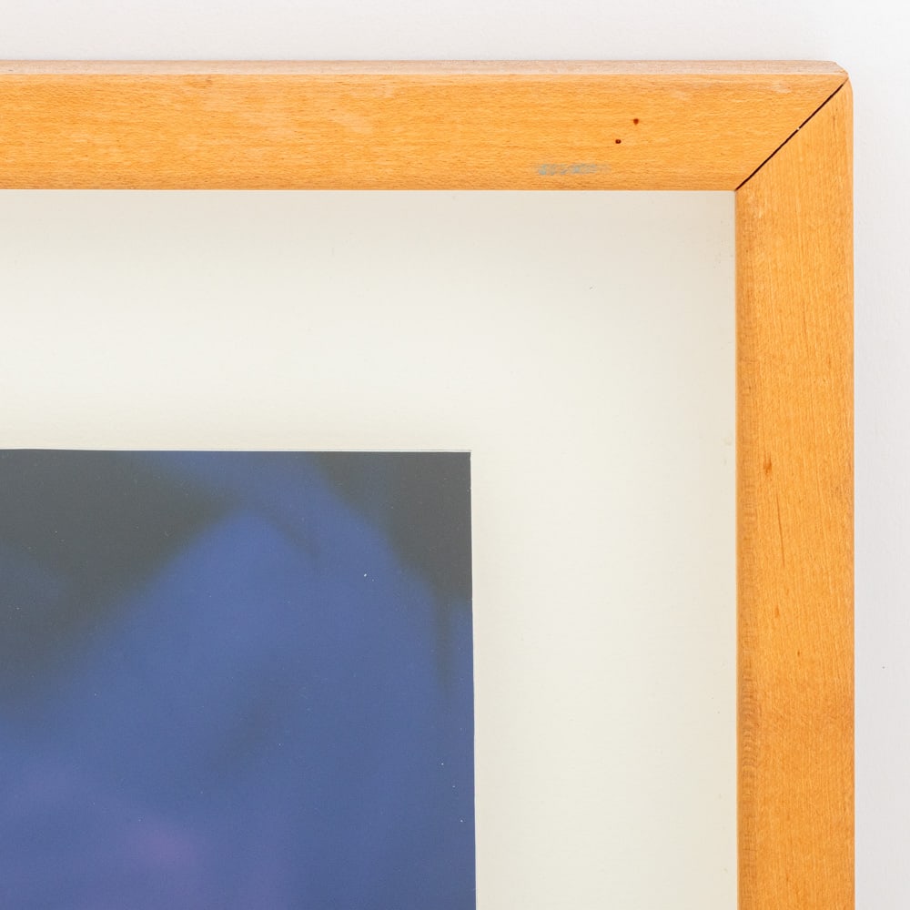 Dean Chamberlain Cibachrome Prints, 2 - 5