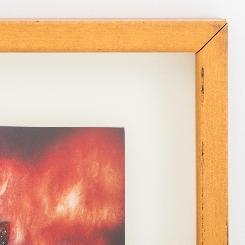 Dean Chamberlain Cibachrome Prints, 2 - 9