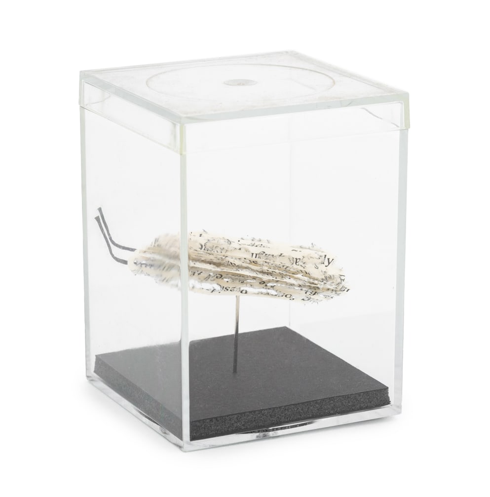 Doug Beube Book Bug Paper and Steel Pin Sculpture: Doug Beube (Canadian, b. 1950) "Book Bug" Paper and Steel Pin Sculpture, 2013, from "Swarm: Incunabula Reductus", mounted on black foam base, signed, titled, dated, and inscribed "For Laura / For Lewi