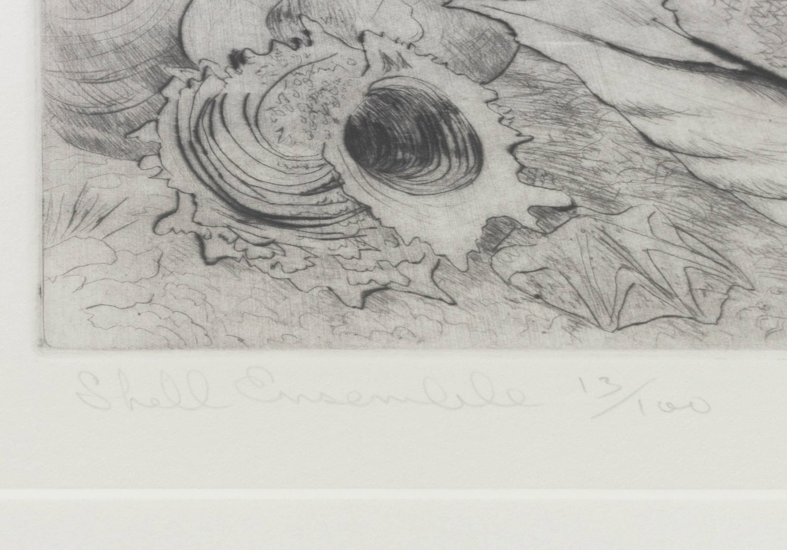 Illegibly Signed "Seashell Ensemble" Etching, 1983 - 6